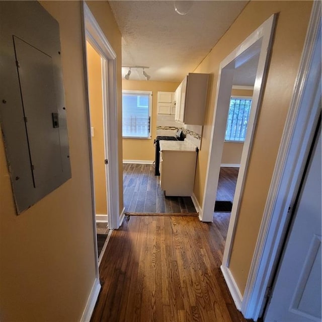 corridor with electric panel, dark wood-style floors, baseboards, and a wealth of natural light