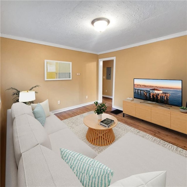 living area with ornamental molding, a textured ceiling, and wood finished floors