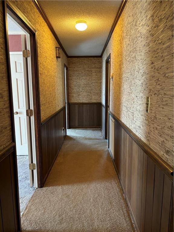 hallway featuring wood walls, light colored carpet, a textured ceiling, and crown molding