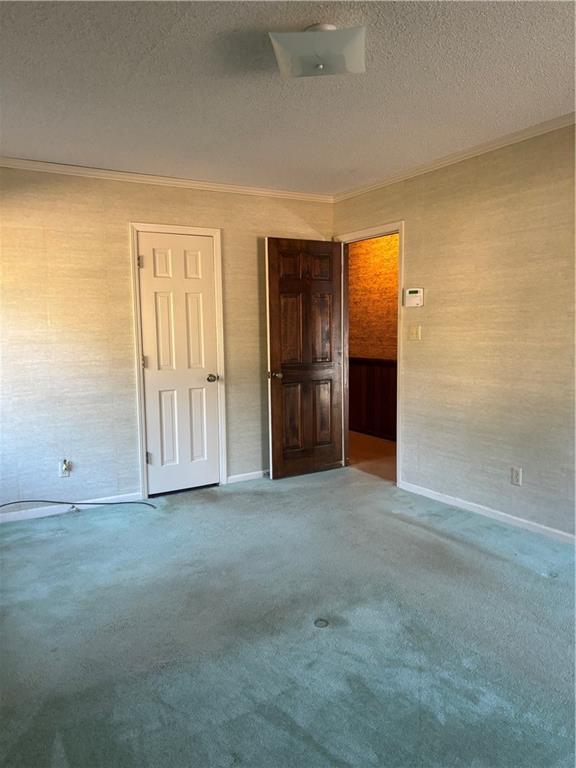 spare room featuring carpet, crown molding, and a textured ceiling