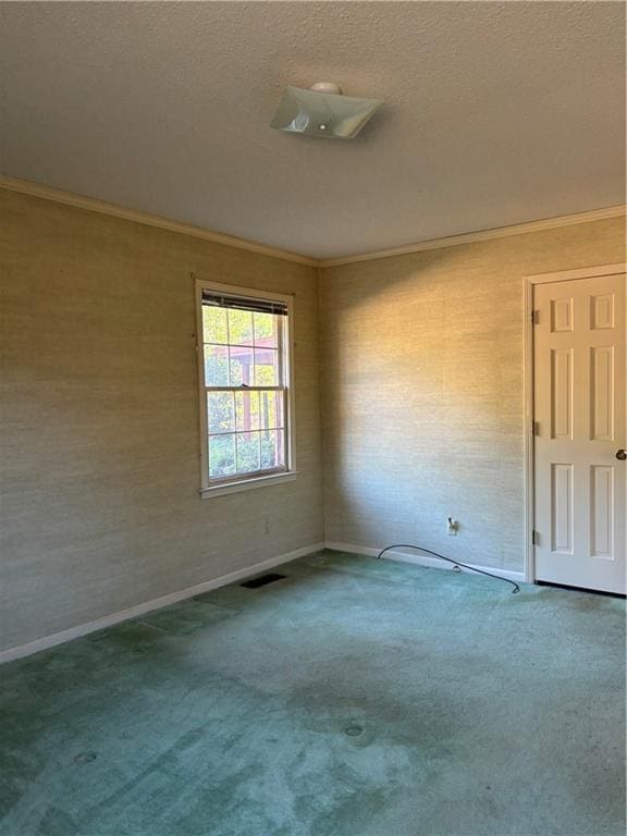 spare room featuring a textured ceiling, ornamental molding, and carpet flooring