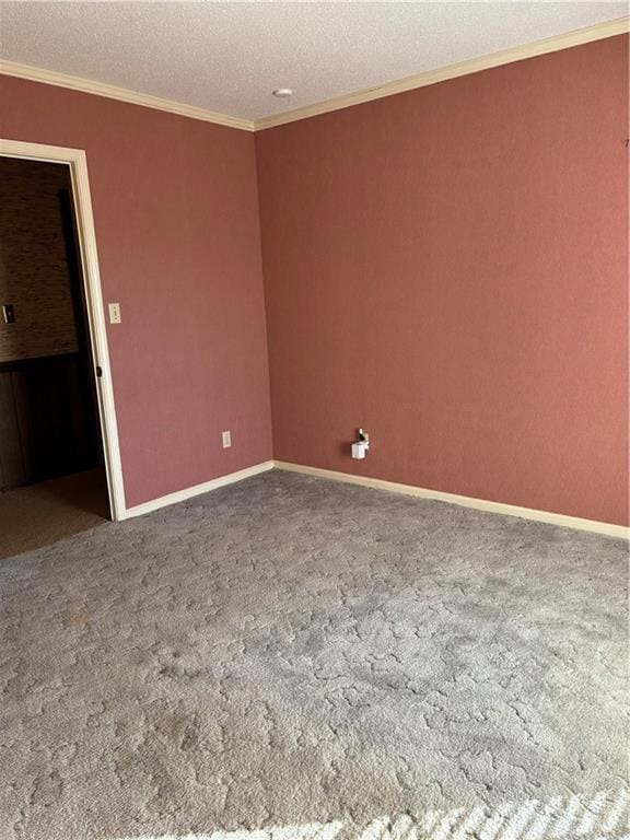 unfurnished room featuring carpet, crown molding, and a textured ceiling