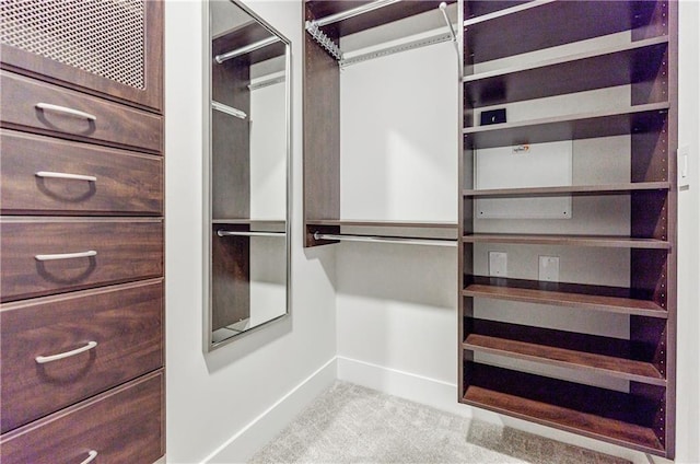 spacious closet with light carpet