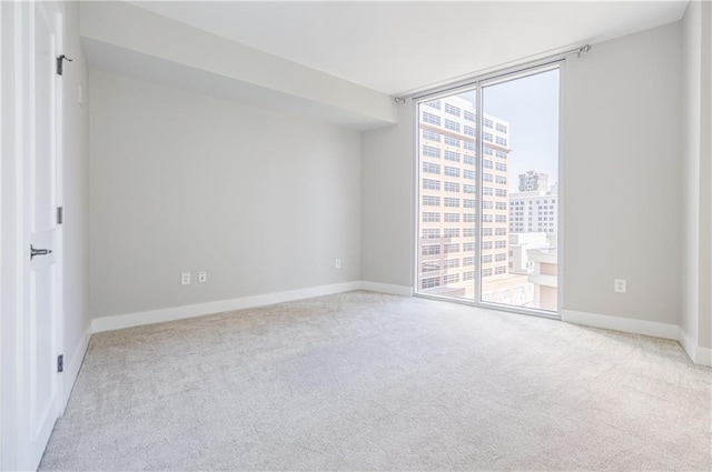 empty room with expansive windows, a wealth of natural light, and light colored carpet