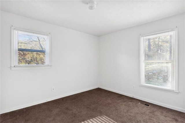 spare room featuring carpet and plenty of natural light