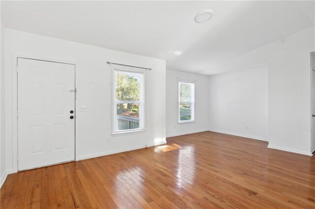 entrance foyer with wood-type flooring