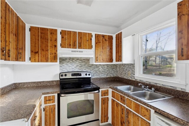 kitchen with dishwashing machine, ventilation hood, sink, stove, and backsplash