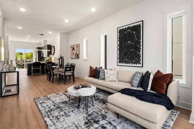 living room featuring wood-type flooring