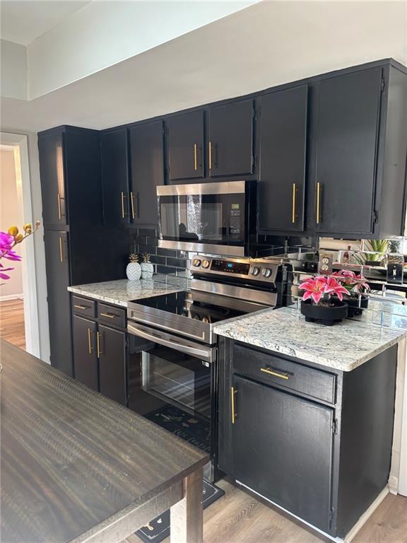 kitchen with light wood-type flooring, stainless steel appliances, and dark cabinetry