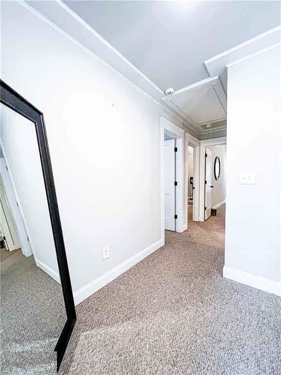 spare room with carpet flooring