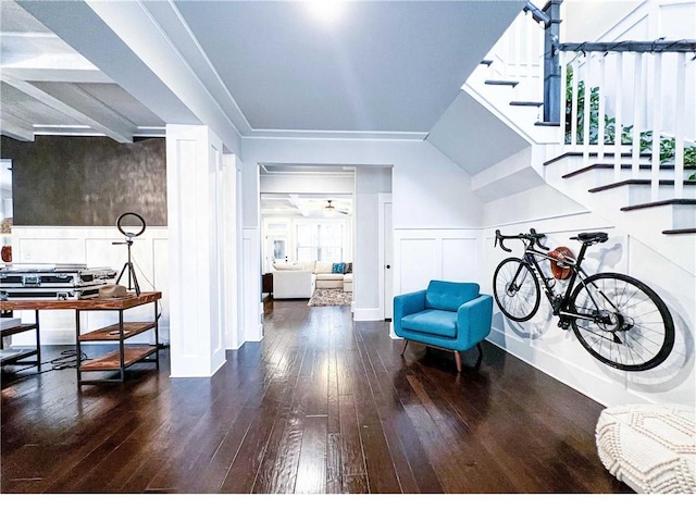 interior space with dark hardwood / wood-style floors and a wealth of natural light