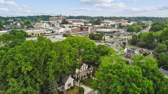 drone / aerial view of a tree filled landscape
