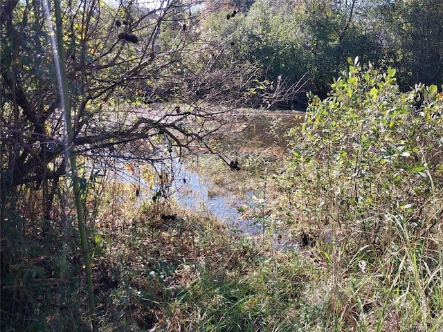 view of nature featuring a water view