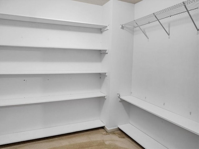 3725 Crescent Walk Ln, Suwanee, GA 30024 - walk in closet with carpet