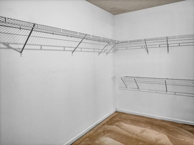 3725 Crescent Walk Ln, Suwanee, GA 30024 - walk in closet featuring carpet flooring