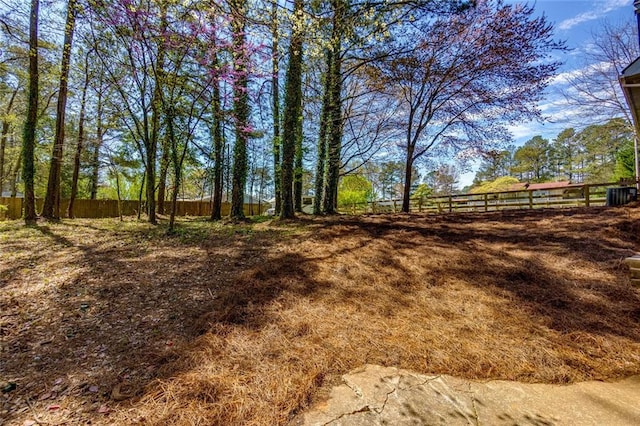 216 Hickory Way, Canton, GA 30115 - view of yard