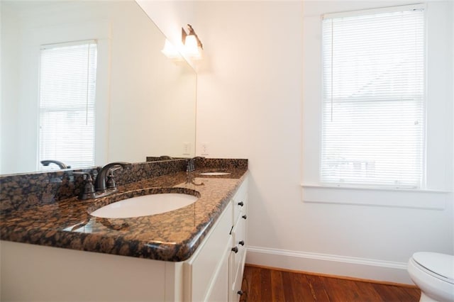 bathroom with double vanity, wood finished floors, baseboards, and a sink