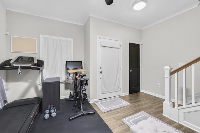 workout room with ornamental molding and dark hardwood / wood-style flooring