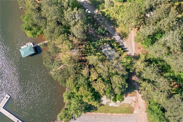 aerial view of a nearby body of water