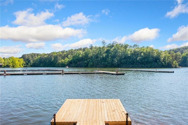 dock with a water view and a wooded view
