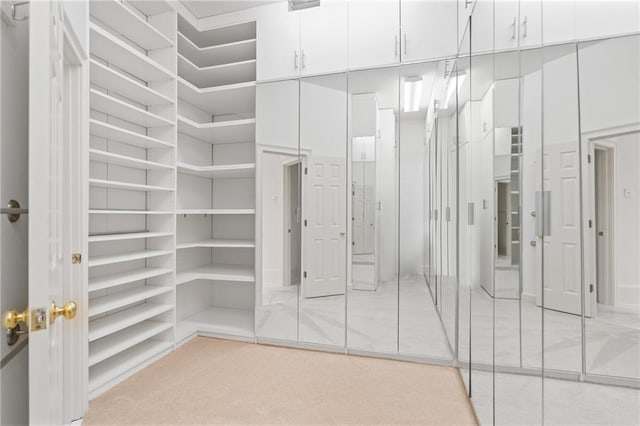 spacious closet with light carpet