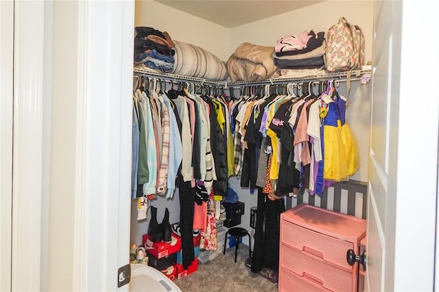 spacious closet featuring carpet