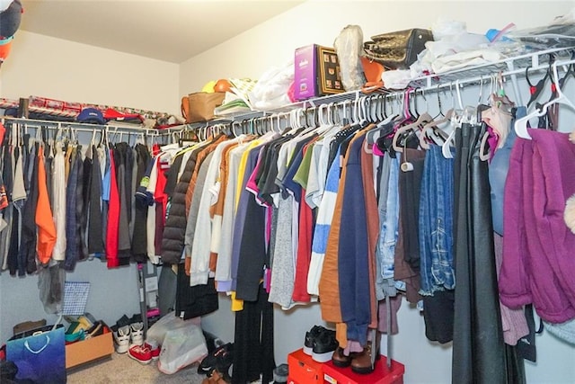 view of spacious closet