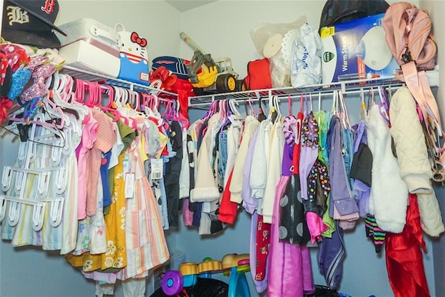 view of spacious closet