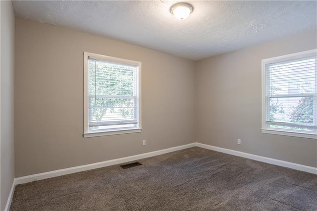 spare room with a textured ceiling, visible vents, a wealth of natural light, and carpet