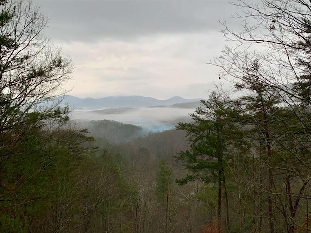 property view of mountains featuring a view of trees