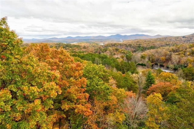 property view of mountains with a forest view