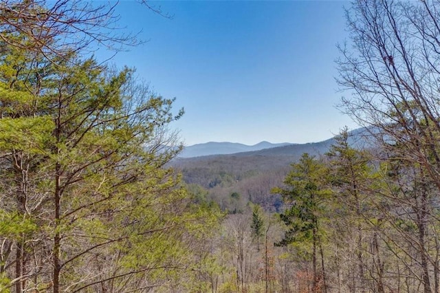 view of mountain feature with a forest view