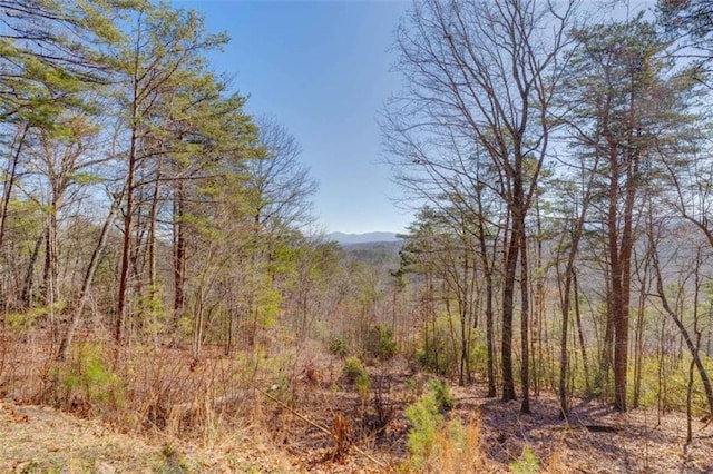 view of local wilderness with a forest view