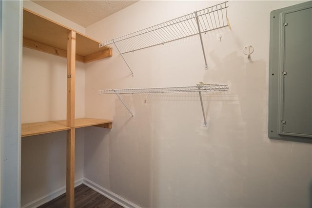 walk in closet with dark hardwood / wood-style flooring and electric panel