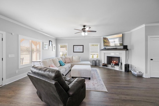 living room featuring ceiling fan, dark wood-type flooring, a healthy amount of sunlight, and ornamental molding