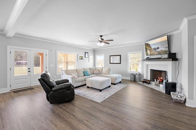 living room featuring ceiling fan, french doors, dark wood-type flooring, beamed ceiling, and crown molding