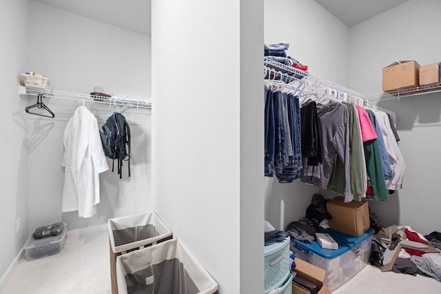 spacious closet featuring carpet flooring