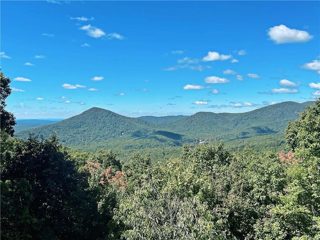 1397 Chestnut Cove Trl, Jasper, GA 30143 - view of mountain backdrop featuring a heavily wooded area