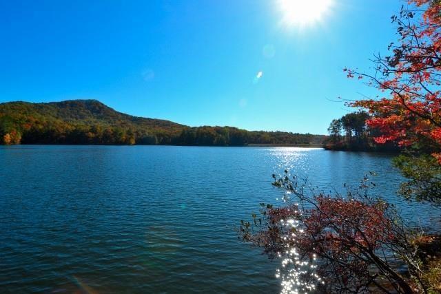 1397 Chestnut Cove Trl, Jasper, GA 30143 - water view