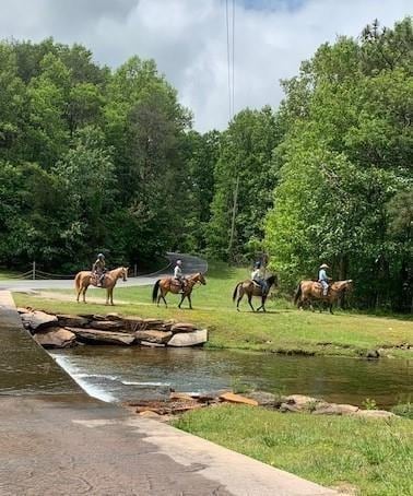 1397 Chestnut Cove Trl, Jasper, GA 30143 - view of property's community