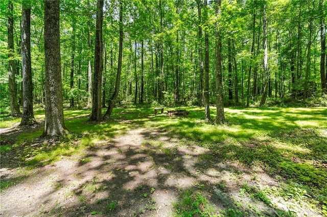 1975 Mack Rd, Douglasville, GA 30135 - view of wooded area