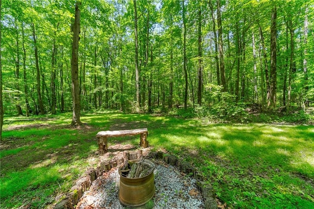 1975 Mack Rd, Douglasville, GA 30135 - view of yard featuring a forest view