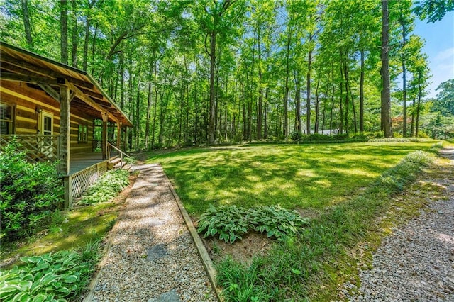 1975 Mack Rd, Douglasville, GA 30135 - view of grassy yard