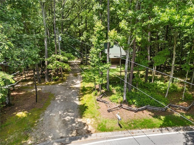 1975 Mack Rd, Douglasville, GA 30135 - view of yard
