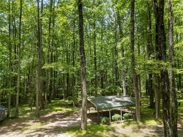 1975 Mack Rd, Douglasville, GA 30135 - view of local wilderness