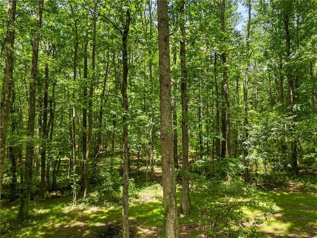 1975 Mack Rd, Douglasville, GA 30135 - view of tree filled area