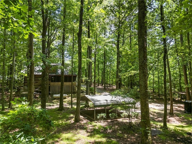 1975 Mack Rd, Douglasville, GA 30135 - view of yard