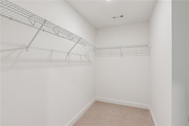 165 Mill Center Blvd Unit 108, Athens, GA 30606 - walk in closet with light carpet