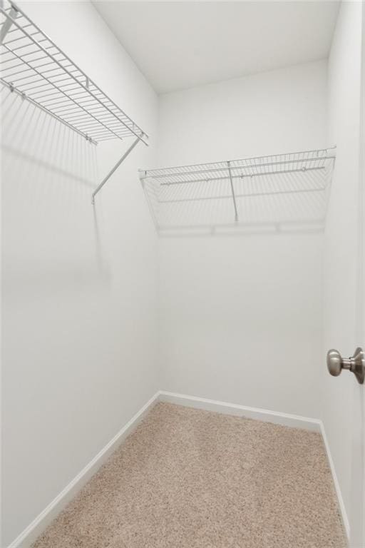 165 Mill Center Blvd Unit 108, Athens, GA 30606 - walk in closet with carpet flooring