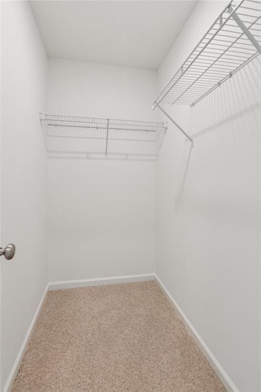 165 Mill Center Blvd Unit 108, Athens, GA 30606 - walk in closet featuring carpet